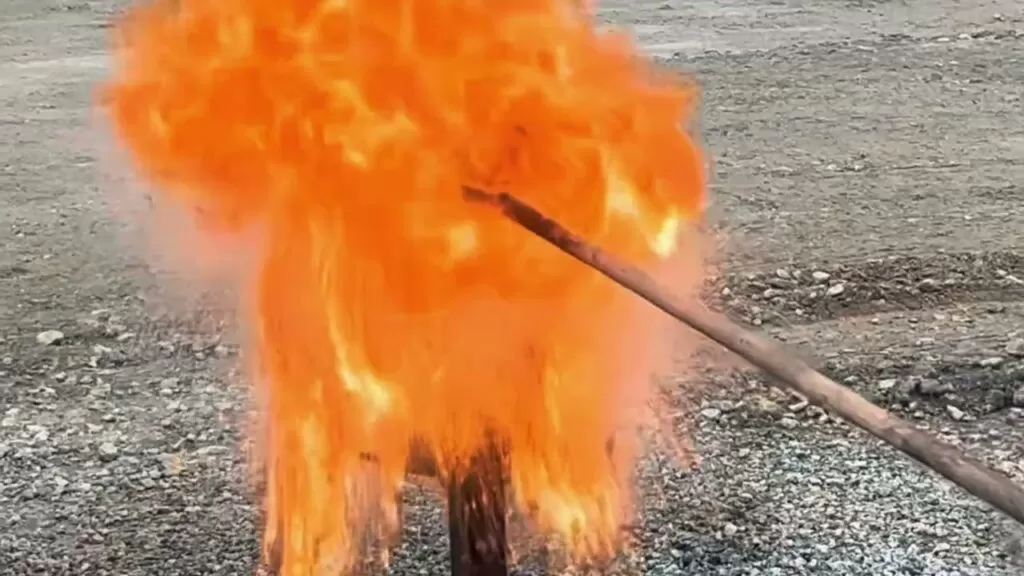 Workfire & Bom Marinheiro