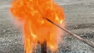 Workfire & Bom Marinheiro